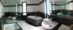 The Legend (D10), Condominium #561387161